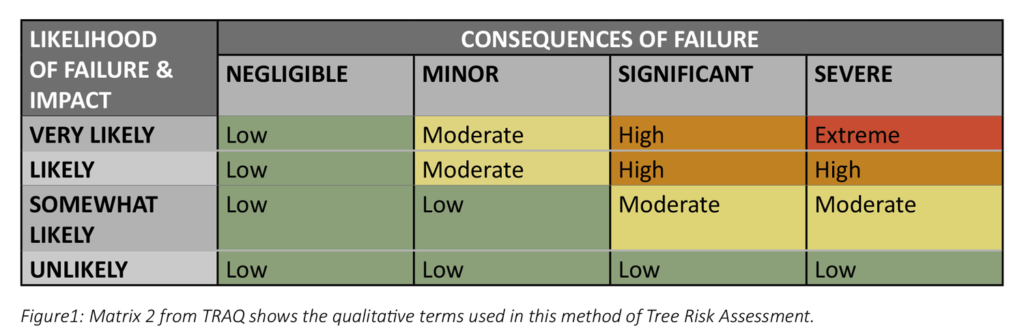 Risk Assessment Review – Northern Tree Care